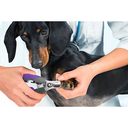 Dog Nail clippers for Large Dogs By Hertzko, Cat Nail Clipper wit...