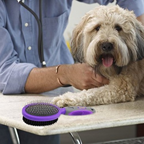 Double Sided Pins and Bristle Brush by Hertzko - For Dogs and Cat...