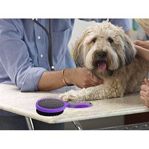 Double Sided Pins and Bristle Brush by Hertzko - For Dogs and Cat...