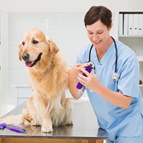 Electric Dog Nail Grinder by Hertzko – Gentle, Painless Paws Groo...