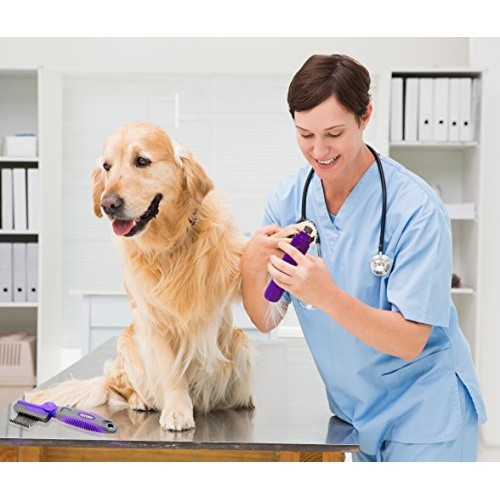 Electric Dog Nail Grinder by Hertzko – Gentle, Painless Paws Groo...