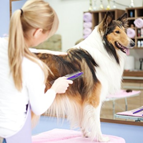 HERTZKO 2 Pack Pet Combs Small & Large Comb Included for Both Sma...