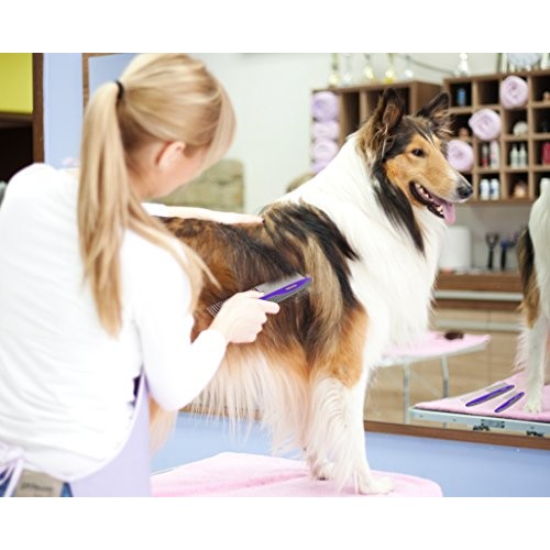 HERTZKO 2 Pack Pet Combs Small & Large Comb Included for Both Sma...