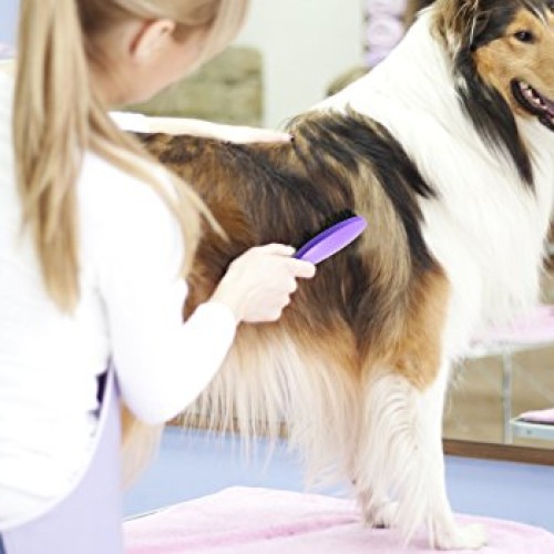 HERTZKO Bristle Brush for Dogs and Cats with Long or Short Hair -...