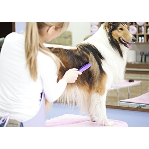 HERTZKO Bristle Brush for Dogs and Cats with Long or Short Hair -...