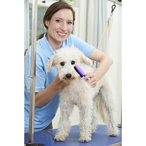 HERTZKO Bristle Brush for Dogs and Cats with Long or Short Hair -...
