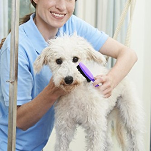 HERTZKO Bristle Brush for Dogs and Cats with Long or Short Hair -...
