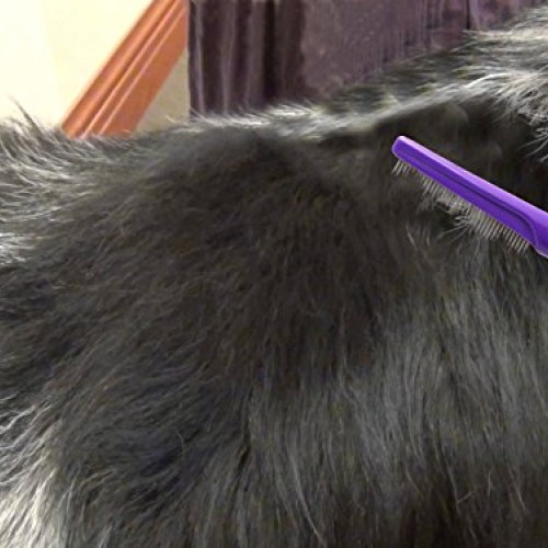 HERTZKO Long and Short Teeth Comb Grooms Your Pet’s Top Coat and ...