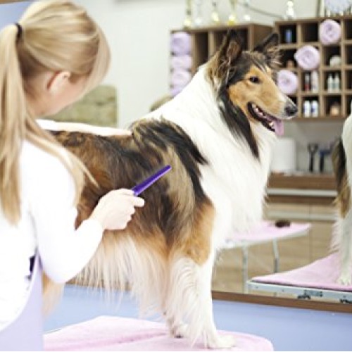 HERTZKO Long and Short Teeth Comb Grooms Your Pet’s Top Coat and ...