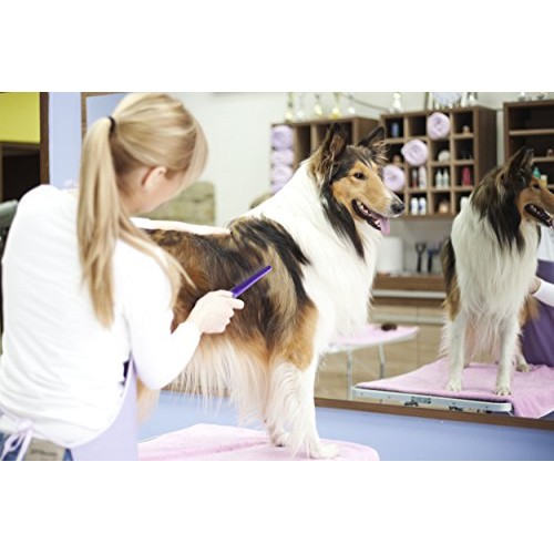 HERTZKO Long and Short Teeth Comb Grooms Your Pet’s Top Coat and ...