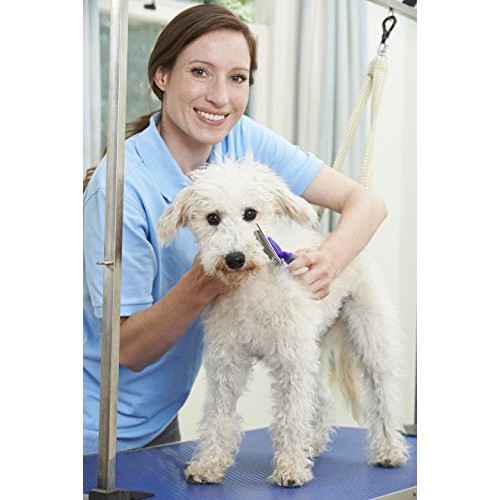 HERTZKO Slicker Brush for Dogs and Cats Pet Grooming Dematting Br...