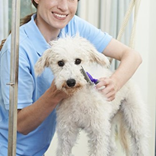 HERTZKO Slicker Brush for Dogs and Cats Pet Grooming Dematting Br...