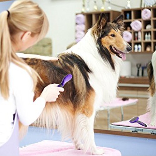 Soft Pet Brush by Hertzko - For Dogs and Cats – for Detangling an...