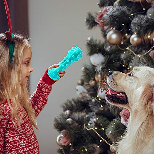 HESLAND Dog Chew Toothbrush Toys, Squeaky Teeth Cleaning Toy for ...