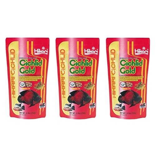 3 Pack Hikari Cichlid Gold Floating Pellets Large, 8.8-Ounce