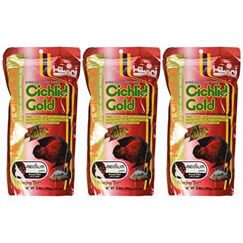 Hikari 3 Pack 8.8-Ounce Cichlid Gold Floating Pellets for Pets,...