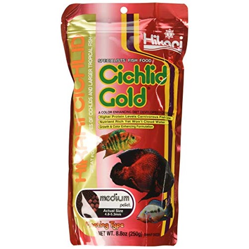 Hikari 3 Pack 8.8-Ounce Cichlid Gold Floating Pellets for Pets,...