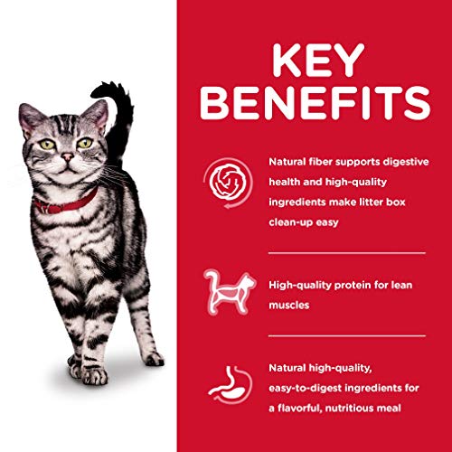 Hills Science Diet Adult Indoor Cat Food, Chicken Recipe Dry Cat...