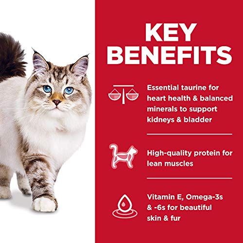 Hills Science Diet Adult No Corn, Wheat or Soy Dry Cat Food, Chi...