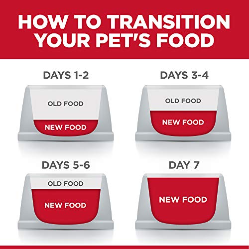 Hills Science Diet Adult No Corn, Wheat or Soy Dry Cat Food, Chi...