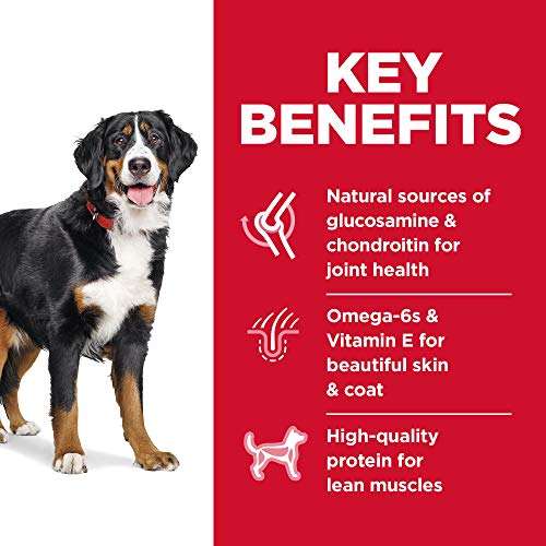 Hills Science Diet Dry Dog Food, Adult, Large Breed, Chicken & B...
