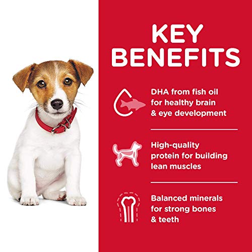 Hills Science Diet Dry Dog Food, Puppy, Small Bites, Chicken Mea...