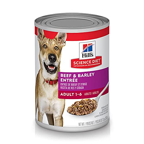 Hills Science Diet Wet Dog Food, Adult, 13 oz Cans, 12 Pack
