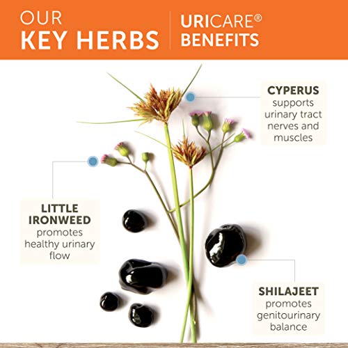 Himalaya UriCare for Kidney and Bladder Performance, 120 Capsules...