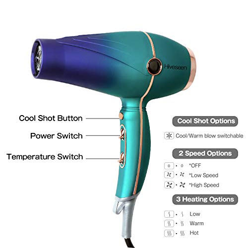 Hiveseen Professional Salon Hair Dryer 2300W, Powerful AC Motor B...