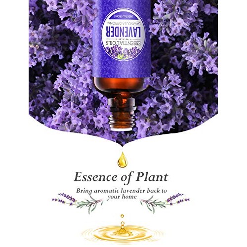 Homasy Lavender Essential Oil, 50ml 100% Pure Essential Oils, Und...