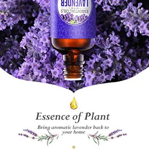 Homasy Lavender Essential Oil, 50ml 100% Pure Essential Oils, Und...