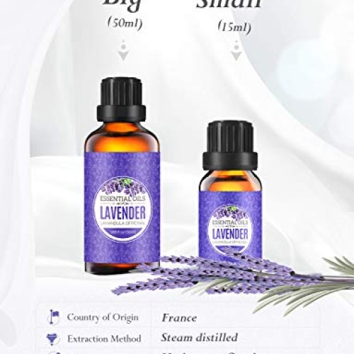 Homasy Lavender Essential Oil, 50ml 100% Pure Essential Oils, Und...