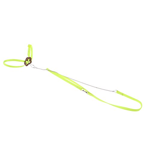 homozy 2 Pieces Adjustable Reptile Lizard Turtle Harness Leash - ...