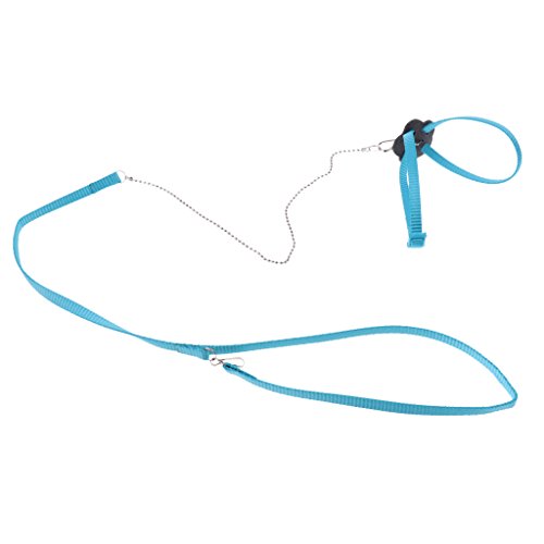 homozy 2 Pieces Adjustable Reptile Lizard Turtle Harness Leash - ...