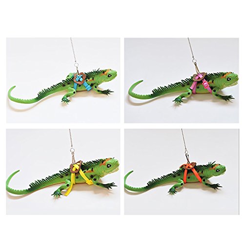 homozy 2 Pieces Adjustable Reptile Lizard Turtle Harness Leash - ...