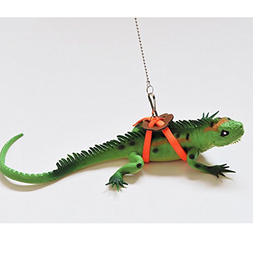 homozy 2 Pieces Adjustable Reptile Lizard Turtle Harness Leash - ...