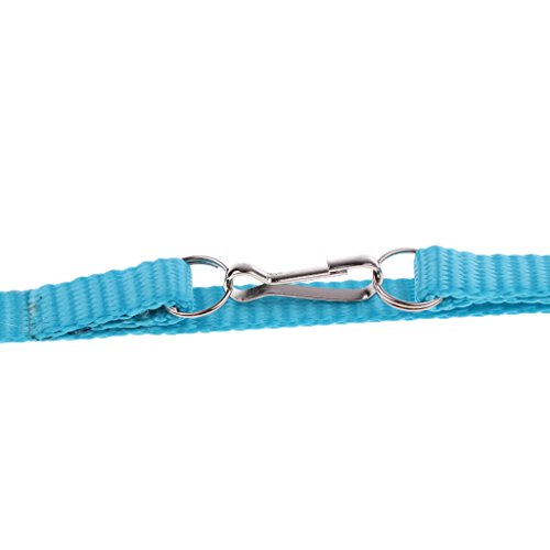 homozy 2 Pieces Adjustable Reptile Lizard Turtle Harness Leash - ...
