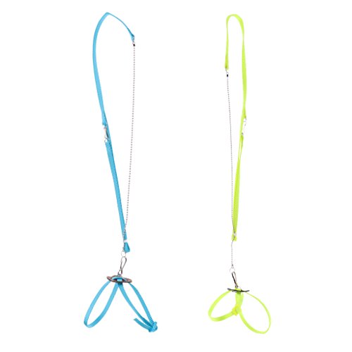 homozy 2 Pieces Adjustable Reptile Lizard Turtle Harness Leash - ...