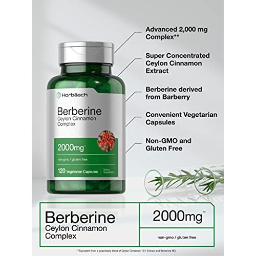 Berberine Plus Ceylon Cinnamon | 2000mg | 120 Veggie Capsules | V...