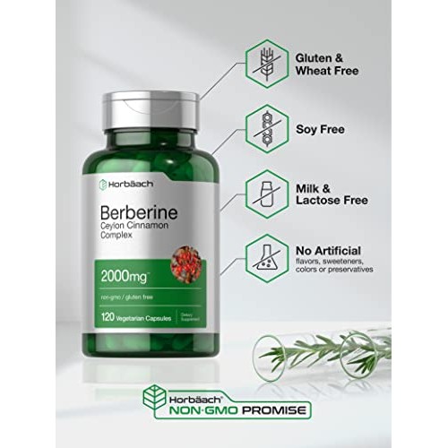 Berberine Plus Ceylon Cinnamon | 2000mg | 120 Veggie Capsules | V...