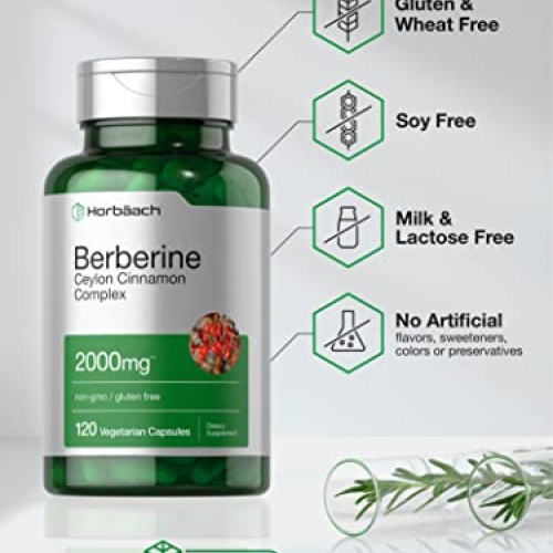 Berberine Plus Ceylon Cinnamon | 2000mg | 120 Veggie Capsules | V...