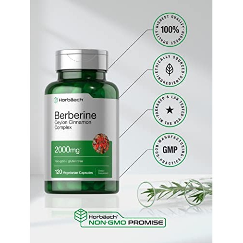 Berberine Plus Ceylon Cinnamon | 2000mg | 120 Veggie Capsules | V...