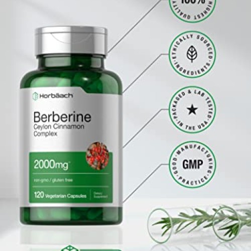 Berberine Plus Ceylon Cinnamon | 2000mg | 120 Veggie Capsules | V...
