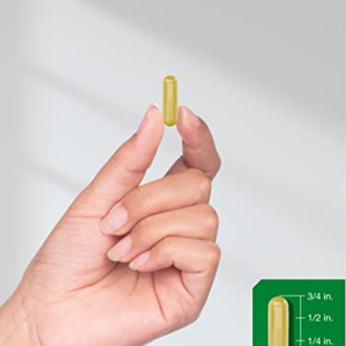 Berberine Plus Ceylon Cinnamon | 2000mg | 120 Veggie Capsules | V...