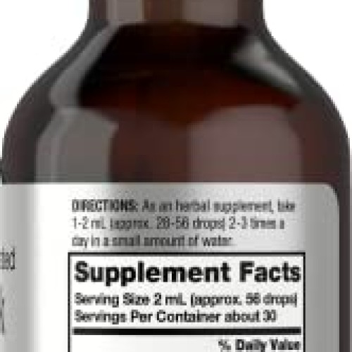 Burdock Root Tincture | 2 fl oz | Alcohol Free | Vegetarian, Non-...