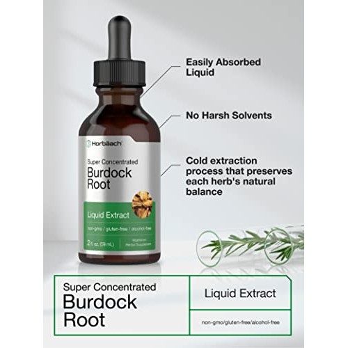 Burdock Root Tincture | 2 fl oz | Alcohol Free | Vegetarian, Non-...