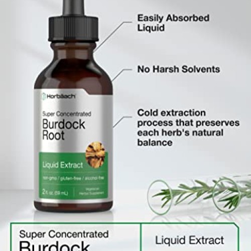 Burdock Root Tincture | 2 fl oz | Alcohol Free | Vegetarian, Non-...