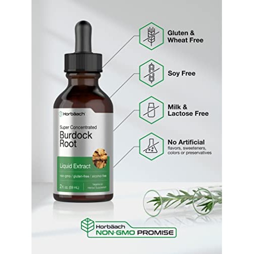 Burdock Root Tincture | 2 fl oz | Alcohol Free | Vegetarian, Non-...