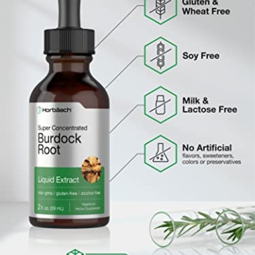Burdock Root Tincture | 2 fl oz | Alcohol Free | Vegetarian, Non-...