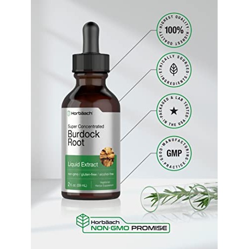 Burdock Root Tincture | 2 fl oz | Alcohol Free | Vegetarian, Non-...